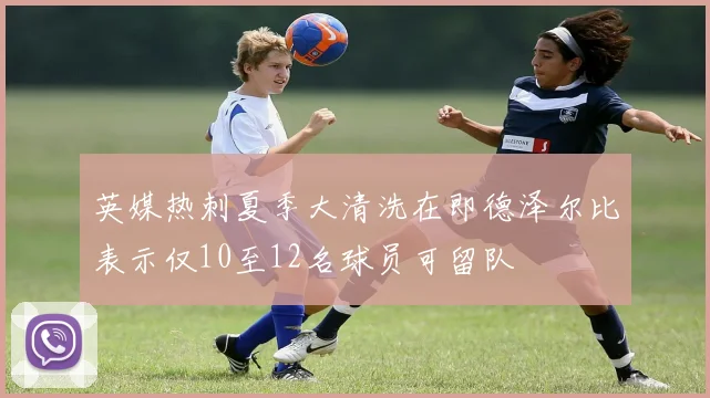 英媒热刺夏季大清洗在即德泽尔比表示仅10至12名球员可留队
