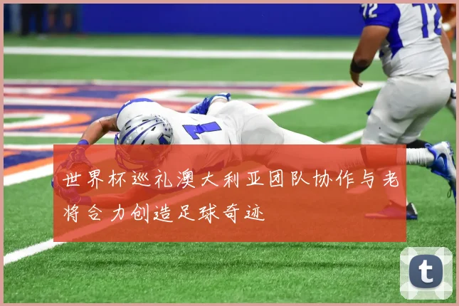 世界杯巡礼澳大利亚团队协作与老将合力创造足球奇迹