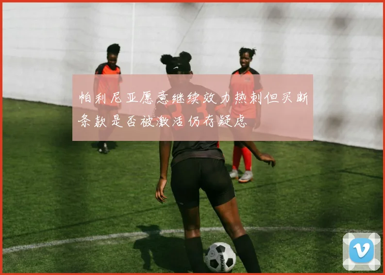 帕利尼亚愿意继续效力热刺但买断条款是否被激活仍存疑虑