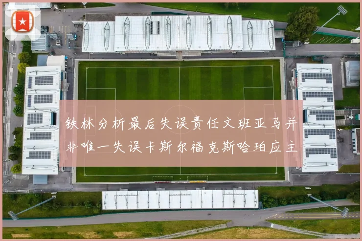 铁林分析最后失误责任文班亚马并非唯一失误卡斯尔福克斯哈珀应主动接球