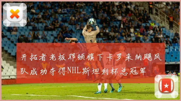 开拓者老板邓顿旗下卡罗来纳飓风队成功夺得NHL斯坦利杯总冠军